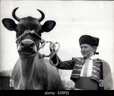 Maggio 02, 1960 - Un paio di vincitori del premio: 8-anno-vecchio Don Rae, di Ayr Scozia, guarda la parte di un torero come egli si pone con Nathan petalo, una vacca di Jersey che ha vinto 18 campionati nel suo tempo. E il giovane Don aveva appena ha vinto il terzo premio in i bambini sfilata in costume all'Ayrshire spettacolo agricolo a Ayr. Foto Stock