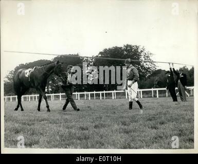 Giugno 06, 1960 - ''Star camera'' corre allentato e ritardi di inizio Reale Caccia Tazza.: ''Star camera'' ha gettato il suo jockey (L.Mercer) prima di avviare il Reale Caccia Tazza a Ascot questo pomeriggio - ed è scappato intorno al corso sul suo proprio. La gara è stata ritardata mentre egli è stato ripreso all'inizio - da parte di un ragazzo stabile. La foto mostra il motorino di avviamento si presta una mano come ''Star camera'' è portato alla linea di partenza - guardati da fantino L. Mercer - a Ascot questo pomeriggio. Foto Stock