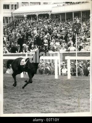 Giugno 06, 1960 - ''Star camera'' corre sciolto - e ritardi di inizio Royal Hunt Cup: Camera Star'' ha gettato il suo jockey (L. Il Mercer) prima di avviare il Reale Caccia al Ascot questo pomeriggio - E scappò in tutto il corso sulla propria ...la partenza della gara è stata ritardata. La foto mostra passa il traguardo - tutti sul suo proprio. Egli è stato cavalcato torna alla partenza post - da parte di un ragazzo stabile. Foto Stock