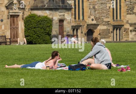 Gli studenti di studiare e di godere di maggio sunshine sull'erba vicino la Cattedrale di Durham. Durham, Inghilterra. Regno Unito Foto Stock