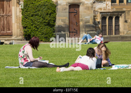 Gli studenti di studiare e di godere di maggio sunshine sull'erba vicino la Cattedrale di Durham. Durham, Inghilterra. Regno Unito Foto Stock