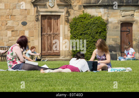 Gli studenti di studiare e di godere di maggio sunshine sull'erba vicino la Cattedrale di Durham. Durham, Inghilterra. Regno Unito Foto Stock