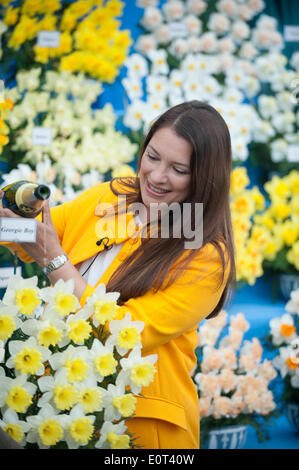 Londra, UK, 19 maggio 2014. Londra, Regno Unito. 19 Maggio, 2014. Il presentatore TV Rachel de Thame battezza un nuovo daffodil GEORGIE BOY, denominata per contrassegnare la nascita di Prince George nel 2013, sulla stampa il giorno della RHS Chelsea Flower Show Credito: Malcolm Park editoriale/Alamy Live News Foto Stock