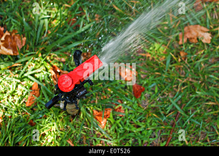 Automated giardino prato irroratore spruzzare acqua sul prato Foto Stock