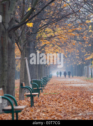 Prater Hauptallee im Herbst, Wien Österreich - Prater Hauptallee in autunno a Vienna, in Austria Foto Stock