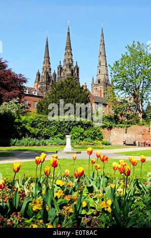 Cattedrale vista dal ricordo dei giardini con i tulipani in primo piano, lichfield, Staffordshire, Inghilterra, Regno Unito. Foto Stock