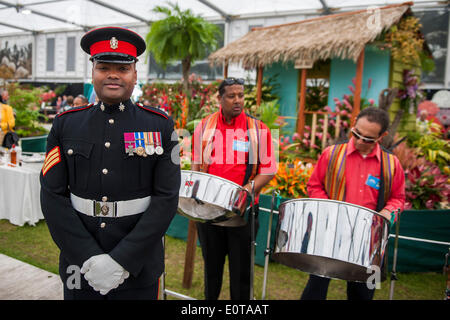 Lancia il sergente Johnson Beharry Gedeone VC. Il Chelsea Flower Show 2014. Il Royal Hospital Chelsea, Londra, Regno Unito. 19 maggio 2014. Foto Stock