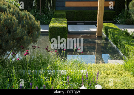 Londra, UK, 19 maggio 2014. RHS Chelsea Flower Show sponsorizzato da M&G. La spazio che si estende da Auderset Fischer Design è ispirato dai diversi e bellissimi paesaggi del protette Pfyn regione delle foreste in Vallese Svizzero. Credito: Malcolm Park editoriale/Alamy Live News Foto Stock