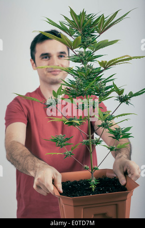 Ritratto di uomo felice tenendo la cannabis pianta in vaso. Foto Stock