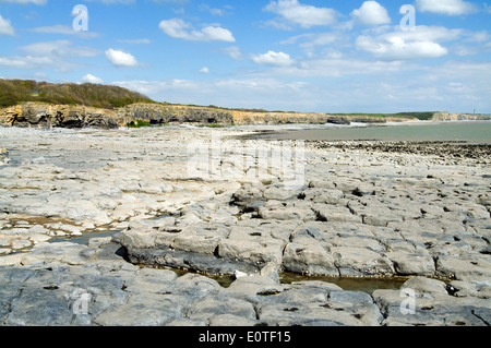 Glamorgan Heritage Coast, St Donats, Llantwit Major, Vale of Glamorgan, South Wales, Regno Unito. Foto Stock