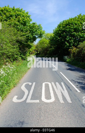 Slow segno dipinto sulla superficie della strada in un vicolo del paese Foto Stock