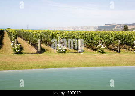 Elephant Hill Winery & station wagon in Hawkes Bay regione della Nuova Zelanda, Foto Stock