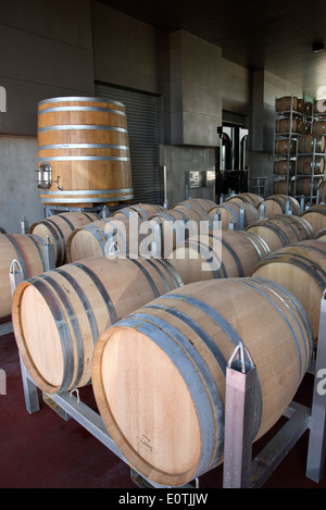 Elephant Hill Winery & station wagon in Hawkes Bay regione della Nuova Zelanda, botti di rovere Foto Stock