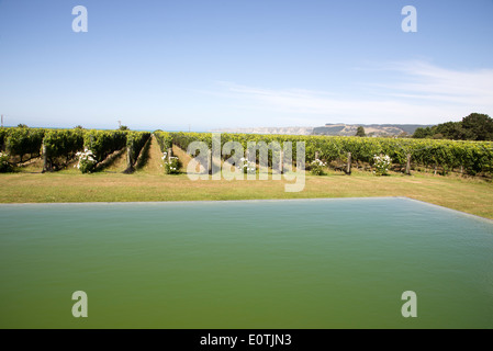 Elephant Hill Winery & station wagon in Hawkes Bay regione della Nuova Zelanda, Foto Stock