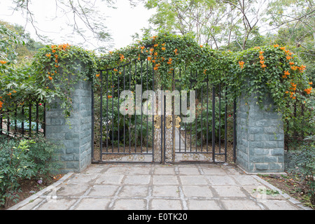 Cancellata in ferro battuto, un bellissimo giardino verde Foto Stock