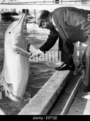 Politico Adam Malik stringono le mani con un delfino Foto Stock