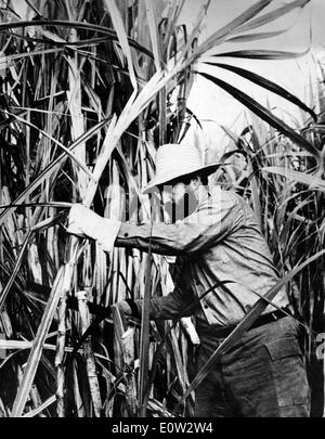 Feb 13, 1961 - Havana, Cuba - FIDEL ALEJANDRO CASTRO RUIZ (nato il 13 agosto 1926) è stato il dominatore di Cuba a partire dal 1959, quando, portando il 26 luglio del movimento, egli distrusse il regime di Fulgencio Batista. Negli anni che seguirono ha sovrinteso alla trasformazione di Cuba nel primo stato comunista nell'emisfero occidentale. Foto Stock