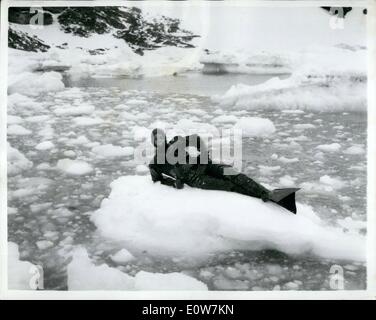 Gen 01, 1962 - ufficiale britannico fotografia: Royal Navy Divers in Antartide: Il duries se HMS Protettore, la Royal Navy's ice-nave pattuglia, sembra che il suo subacquei devono operare nel ghiaccio-flussi di antartico. Il team ha avuto di recente a tuffarsi in stretto di Bransfield durante l Antartico seismeic prove per liberare il propulsore della ricerca Roayl nave Skackleton. La foto mostra uno di teh Protector subacquei, in grado Seaman David Williams, di Southsea prende uno sfiatatoio su un ice-flusso durante operazioni di immersione in Antartide. Foto Stock