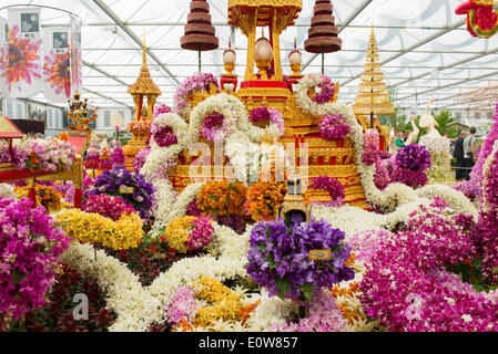 Londra, UK, 19 maggio 2014. RHS Chelsea Flower Show sponsorizzato da M&G. Nong Nooch Tropicale Giardino Botanico stand nel grande padiglione che illustra la cultura tailandese e orchidee vaganca. Credito: Malcolm Park editoriale/Alamy Live News Foto Stock