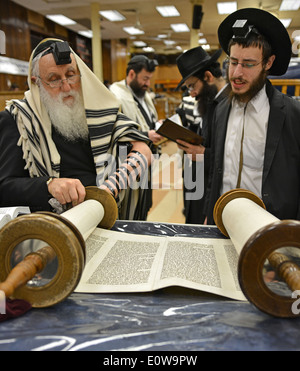 Lettura da un rotolo di Torah al mattino servizi in sede Lubavitch in Crown Heights, Brooklyn, New York. Foto Stock