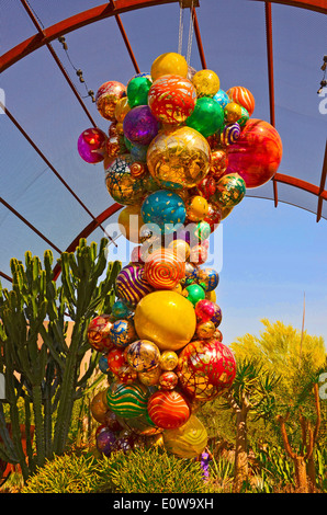 Il leggendario vetro artista Dale Chihuly presentava il suo lavoro presso il Desert Botanical Gardens a Phoenix, Arizona, Stati Uniti d'America durante il 2014. Foto Stock