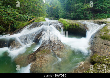 Cascata sul fiume Eistobel, vicino a Isny, Allgaeu, Baviera, Germania Foto Stock