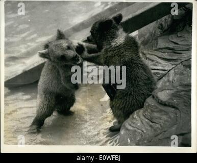 Agosto 08, 1962 - Teddy Twist Vieni su, consente di ruotare di nuovo come abbiamo fatto la scorsa estate! La scorsa estate? Dove siamo stati la scorsa estate ???? Sicuramente non con il London Zoo, il che lo rende anche una torsione maggiore di orso bruno cubs Nina e Griff. Foto Stock