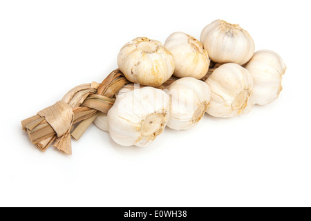 Stringa di bulbi di aglio isolato su un bianco di sfondo per studio. Foto Stock