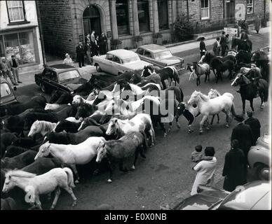 Ottobre 01, 1964 - 1-10-64 Westmoreland Borgo prende su un selvaggio West atmosfera. Il piccolo villaggio di Kirby Stephen in Westmoreland ieri ha avuto sull'atmosfera di una città del selvaggio e Wooly West quando hill farmer il Sig. Walter Tuer ha portato la sua collina pony al mercato. Cento e cinquanta di loro, tutte le forme e dimensioni sono stati condotti attraverso la strada principale e poi venduto all'asta nel centro del villaggio. Keystone Foto Mostra: La scena come il pony sono azionati attraverso il centro della città di ieri. Foto Stock