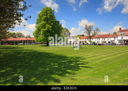 Alta verde, grande Ayton, North Yorkshire, Inghilterra, Regno Unito. Foto Stock