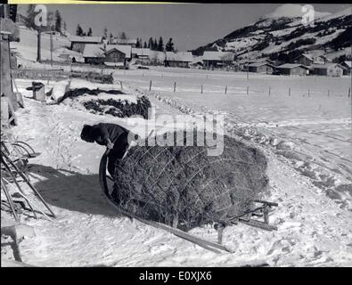 Febbraio 28, 1967 - L'agricoltore'onere: ovunque in Svizzera dove le mucche devono essere alimentati in regioni dove la neve ancora stabilisce, l'agricoltore deve portare l'estate e autunno il fieno da luoghi superiore verso il basso per il maneggio di alimentare il loro bestiame. La foto mostra un ex a Adelboden ha portato giù dai Kuoniberg, 2 ore marzo lontano, una mazza di fieno dalla sua estate stock per alimentare il suo bestiame. Foto Stock