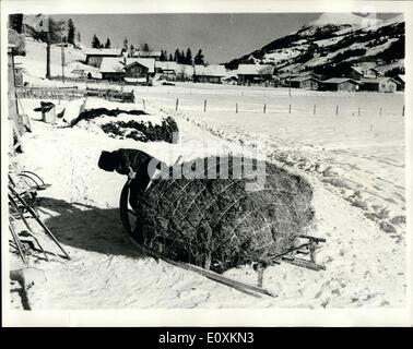 Mar 03, 1967 - l'Agricoltore'onere: ovunque in Svizzera dove le mucche devono essere alimentati in regioni ancora coperte di neve, gli agricoltori devono portare l'estate e autunno il fieno da luoghi superiore verso il basso per il maneggio di alimentare il loro bestiame. La foto mostra un agricoltore a Adelboden ha portato giù dai Kuenisberg, 2 ore marzo lontano - una slitta di fieno dalla sua estate stock per alimentare il suo bestiame. Foto Stock