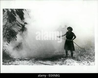 Giugno 06, 1967 - La guerra in Medio Oriente. La foto mostra una donna cercando di salvare quello che è a sinistra della sua casa a rosh pina, dopo il bombardamento di Siri, 25 miglia a nord di Tiberiade. Foto Stock