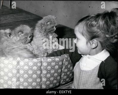 Nov. 18, 1967 - il giovane visitatore ammira due gattini Persiano Foto Stock