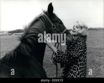 Il 12 Dic. 1967 - bella bionda attrice americana Carroll Barkber, chi è a Roma per girare ''Luna di Miele'' co-stars attore francese Jean Sorel, ha visitato l'Olgiata allevamento di cavalli, e avuto modo di conoscere il figlio del famoso cavallo Ribot e di Albertine. Si tratta di ''Alberti'' nato nel maggio 1967. La foto mostra il biondino di Carroll Baker visitando ''Alberiti' Foto Stock