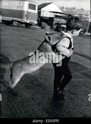 Gen 03, 1968 - 3-1-68 Lion cub è nuovo arrivo a Plymouth Zoo. Un nuovo arrivo a Plymouth Zoo, appena in da Israele, è Mustapha, a tre mesi l'old LION CUB, visto qui indulgere in un divertente gioco con due-anno-vecchio Nigel Williams, figlio di un giardino zoologico attendant. Foto Stock