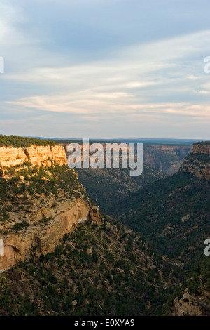Scogliere e canyon, il Parco Nazionale di Mesa Verde, Colorado, STATI UNITI D'AMERICA Foto Stock