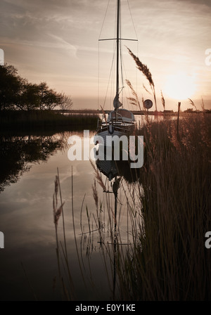 Yacht ormeggiati, il Parco Nazionale Broads del Norfolk, Norfolk, Inghilterra, Regno Unito, Europa. Foto Stock