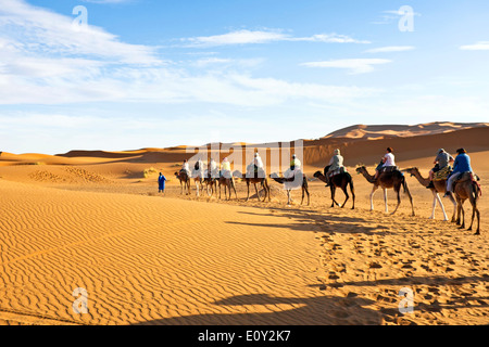 Camel caravan andando attraverso le dune di sabbia nel deserto del Sahara, Marocco. Foto Stock