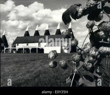 Sett. 09, 1968 - Hop-Picking nel Kent.: Hop-picking è ora ben al di sotto del titolo su la Whitbread azienda al Paddock Wood, Kent. La foto mostra Oast - case incorniciato con il luppolo - contribuiscono a rendere questa pittoresca foto al Paddock Wood, Kent, dove hop-picking è in corso. Foto Stock