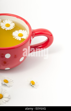 La camomilla tè in punteggiata rossa cup con fiore Foto Stock