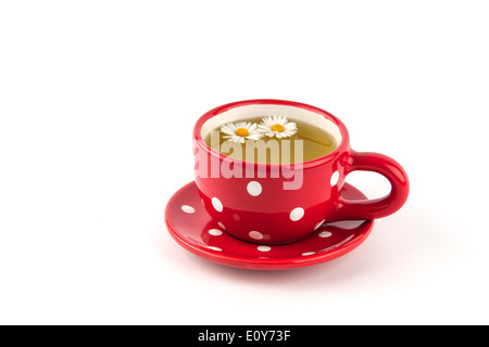 La camomilla tè in punteggiata rossa cup con fiore Foto Stock