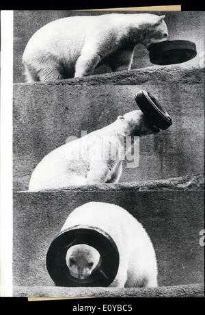 Lug. 28, 1969 - Pipalux qui è un sei mesi orso polare presso lo Zoo di Londra. Naturalmente, poiché egli è così giovane ama le piccole cose come giocare con questo pneumatico. Egli divenne un punto focale per lo zoo e i suoi visitatori. Foto Stock