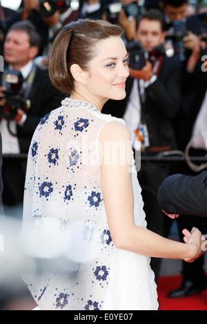 Cannes, Ca, Francia. Il 20 maggio 2014. Marion Cotillard.Deux Jours, Une Nuit premiere.Cannes Film Festival 2014.Cannes, Francia.Maggio 20, 2014. Credito: Roger Harvey/Globe foto/ZUMAPRESS.com/Alamy Live News Foto Stock