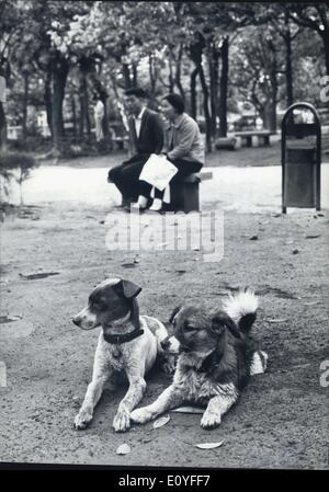 1 gennaio 1970 - Primavera : in primavera sembra sempre, come se ci fossero più amanti che in altri periodi dell'anno. Quando il tempo si sta scaldando e la natura si è svegliata, ovunque i giovani possono essere visti camminare e tenersi per mano. Ma non solo le persone sono soggette a tali sentimenti springlike, anche gli animali come questa stagione, almeno questo paio di cani a Taipeh / Formcea così. Foto Stock