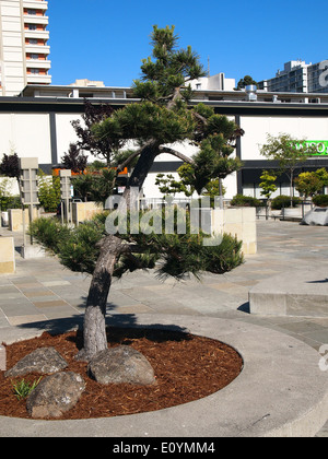 Japantown, San Francisco Foto Stock