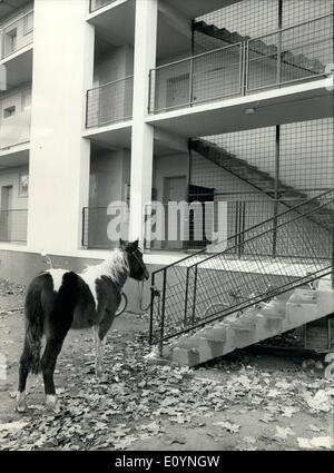 Il 12 Dic. 1970 - sinistro esterno: Per vedere un mulo al di fuori di una Parigi sede comunale piuttosto insolito che appartiene ad una famiglia che occupa uno degli appartamenti. Il povero animale è lasciato al di fuori come il suo maestro non poteva ospitare in qualsiasi altro luogo. Foto Stock