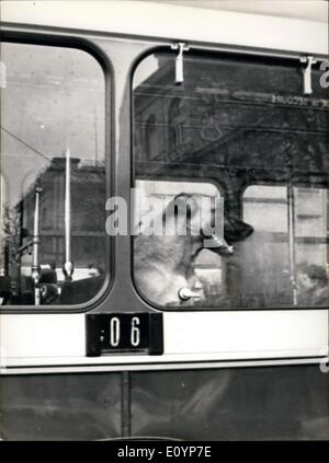 Gen 20, 1971 - Cane cavalca un bus di Parigi per due ore Foto Stock