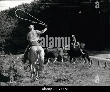 Ottobre 10, 1971 - equitazione LA GAMMA - alla mandria nuova foresta bestiame lontano da sostanze velenose ghiande. Mostra fotografica di:- American visitatore ed avorio dimostrando la corda-swinging ad un round-up di nuova foresta bovini per salvare loro mangiare un raccolto di ghiande - velenoso per animali erbivori. Foto Stock