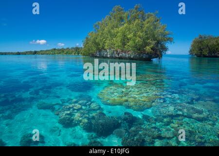 Isole Palau, Palau Micronesia - Aprile 2014 Foto Stock
